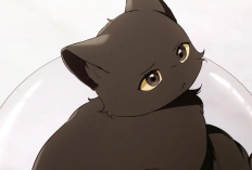 ¡Te amo como a un gato! Leer BL Manhwa Terapia de gatos (Cat therapy) Capítulo 20 en Español 