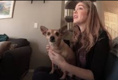 Enlace Mujer Y Perro Viral Video, La Singular Interacción Que Emocionó A Todo Internet